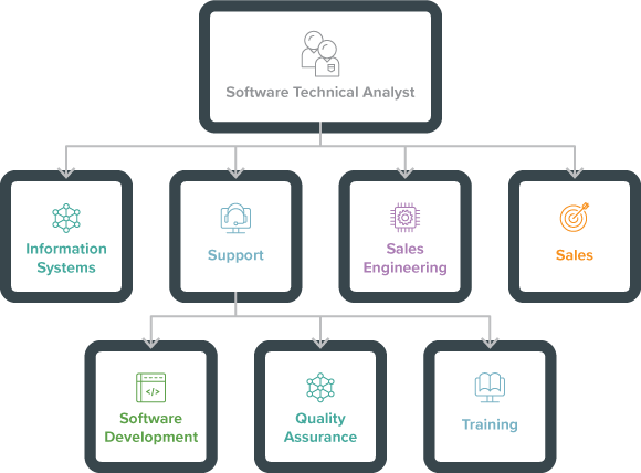 Flowchart of the Technical Pathways Program: First level: Software Technical Analyst; Second level: Information Systems, Support, Sales Engineering, Sales; Third level branching from Support: Software Development, Quality Assurance, Training