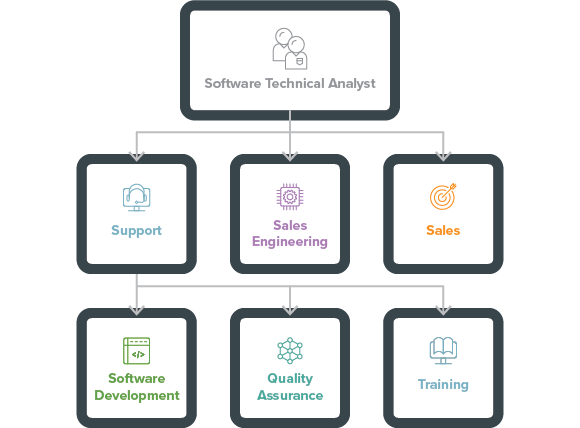Flowchart of the Technical Pathways Program: First level: Software Technical Analyst; Second level: Information Systems, Support, Sales Engineering, Sales; Third level branching from Support: Software Development, Quality Assurance, Training